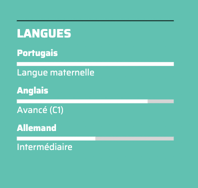 compétence professionnelle cv avec barres